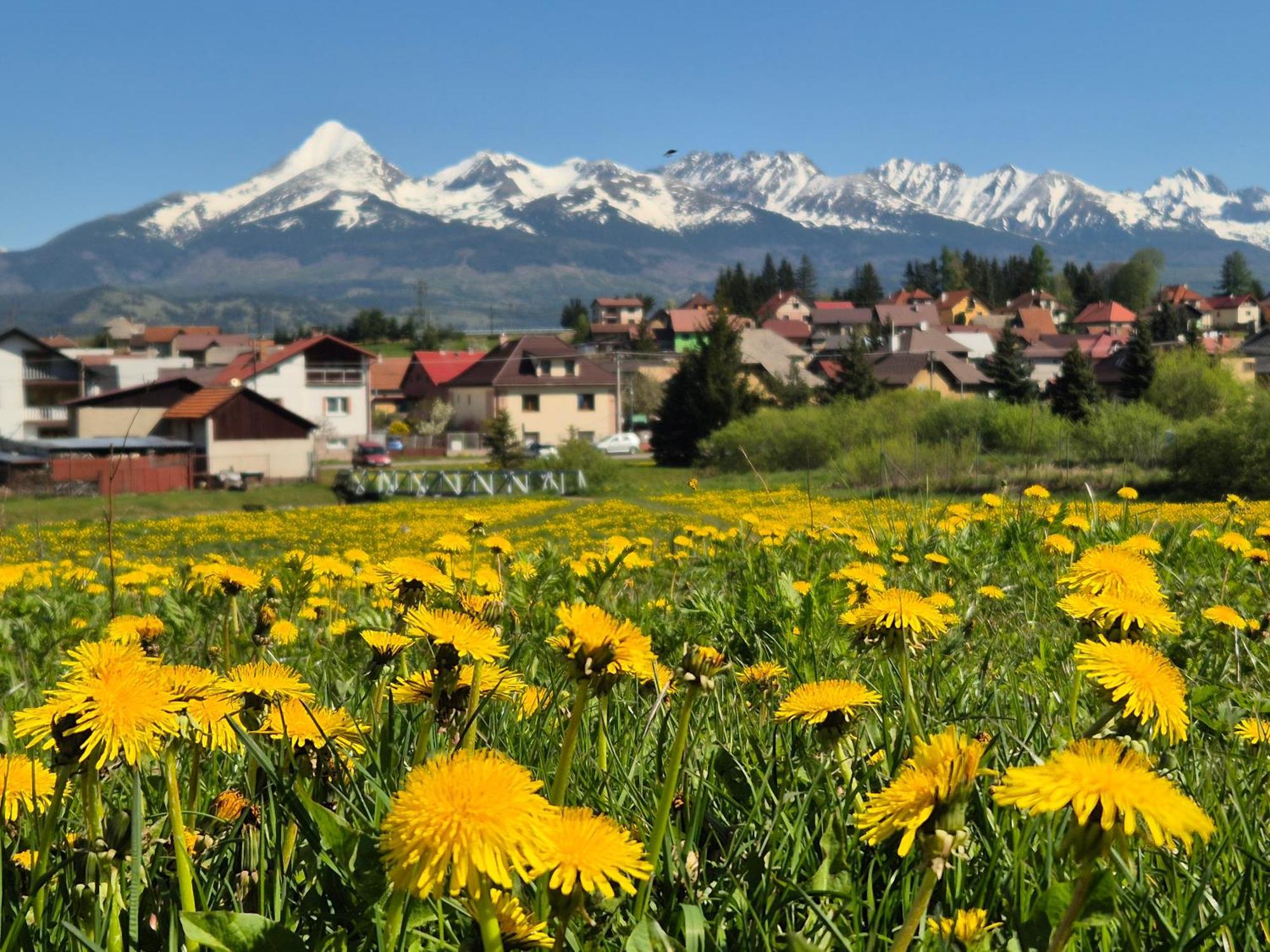 Apartmany Anicka Vo Vazci Važec エクステリア 写真
